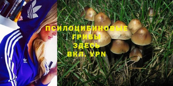 герыч Ветлуга