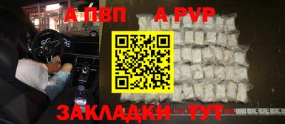 СК Гатчина