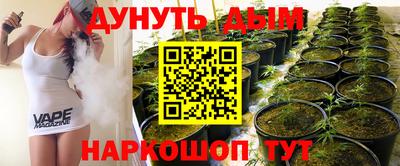 СК Гатчина