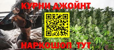СК Гатчина