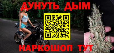 СК Гатчина