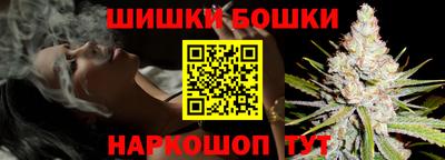 СК Гатчина