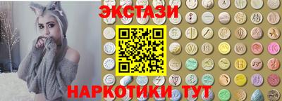 СК Гатчина