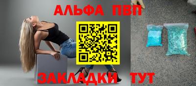 СК Гатчина