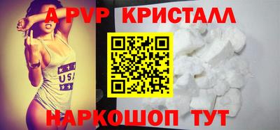 СК Гатчина