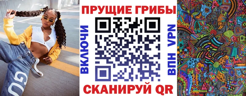 Псилоцибиновые грибы Cubensis  Зима 