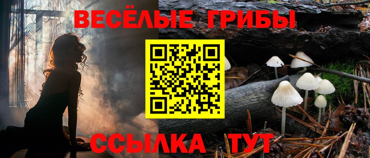 Псилоцибиновые грибы мицелий Зима